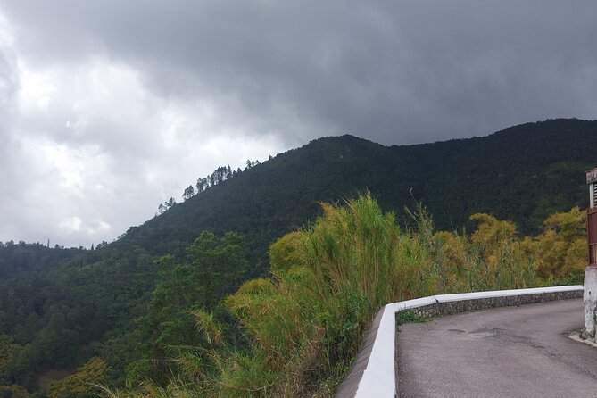 Blue Mountain Sight-Seeing & Nature Trail Hike with Private Guide - Why the private format changes the day