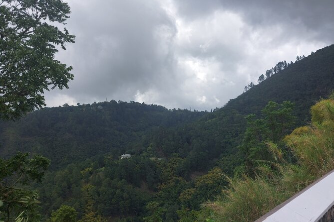 Blue Mountain Sight-Seeing & Nature Trail Hike with Private Guide - Is $200 per person a fair price?