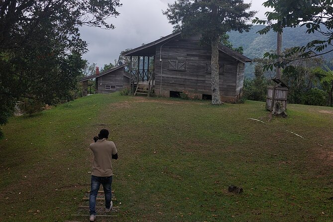 Blue Mountain Sight-Seeing & Nature Trail Hike with Private Guide - What to bring and how to plan the morning