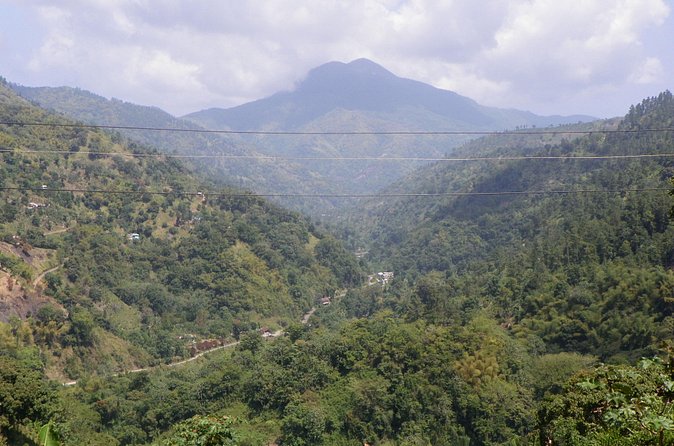 Blue Mountain Tour with Hotel Transportation - Who will enjoy this and who should skip it?