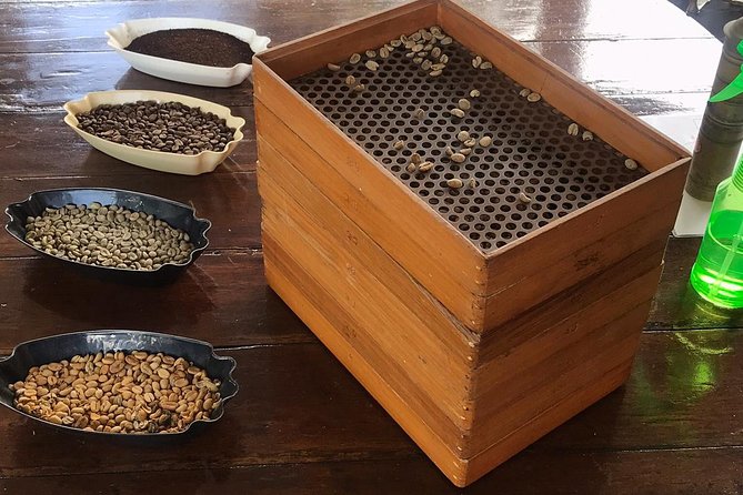 Blue Mountains Coffee Private Tour from Kingston - Leaving Kingston at 9:30 a.m.