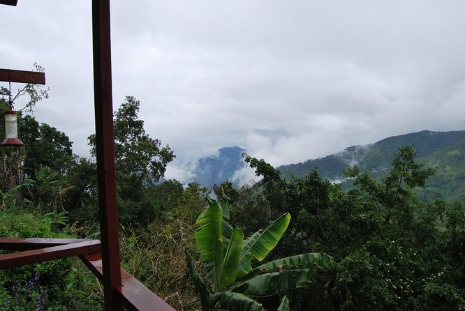 Blue Mountains Peak Hike - Roger’s guiding style and local insight