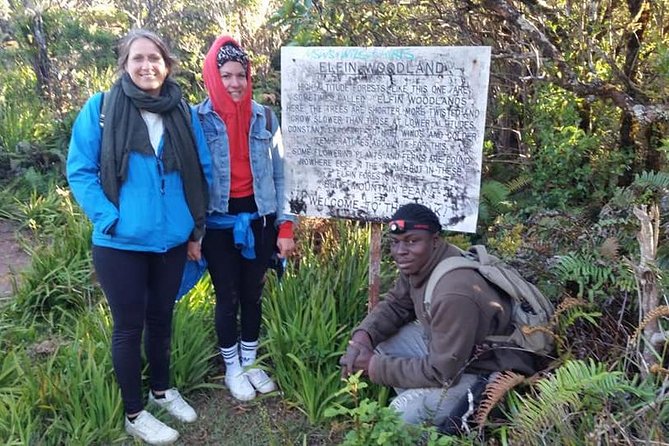 Blue Mountains Peak Hike - The Path to the Peak: a serious uphill walk
