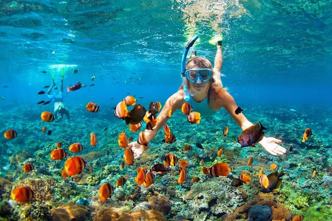 Boatride & Snorkeling then Margaritaville Hipstrip Activity - Key points to know before booking