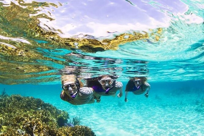 Boatride & Snorkeling then Margaritaville Hipstrip Activity - Why this pairing works in Montego Bay