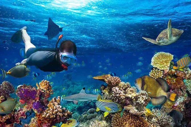 Boatride & Snorkeling then Margaritaville Hipstrip Activity - Who will enjoy this outing most