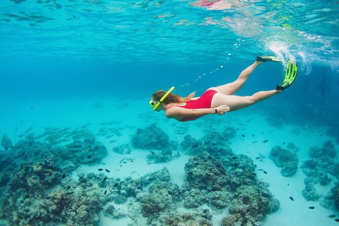 Boatride & Snorkeling then Margaritaville Hipstrip Activity - Staff make the largest difference