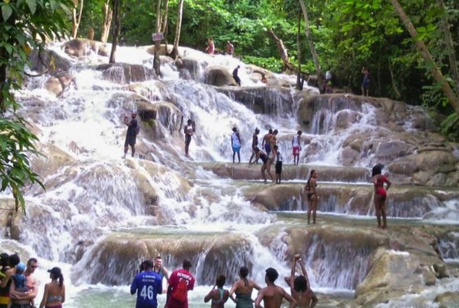 Bob Marley Nine Mile and Dunn's River Falls Tour From Montego Bay - What the private guide adds