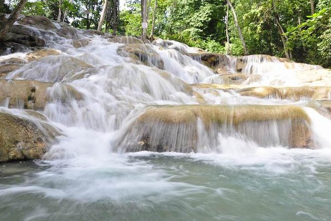 Bob Marley Nine Mile and Dunns River Combo from Ocho Rios - Two Jamaica Icons in One Six-Hour Day