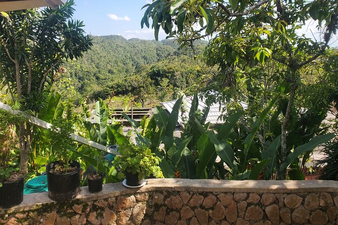 Bob Marley Nine Mile Home Private Tour from Montego Bay - Exhibition hall, theatre, and One Love Café