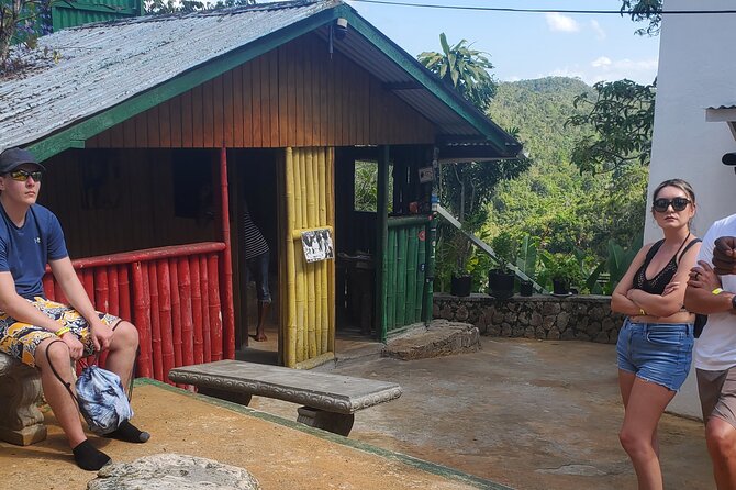 Bob Marley Nine Mile Home Private Tour from Montego Bay - What the drivers add to the experience