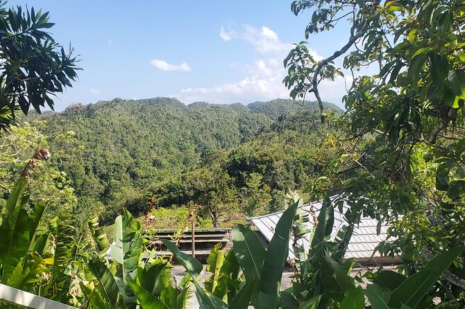 Bob Marley Nine Mile Home Private Tour from Montego Bay - Who should book this Nine Mile visit?