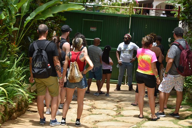Bob Marley's Nine Mile Admission and Guided Tour from Montego Bay - The Montego Bay pickup and mountain drive