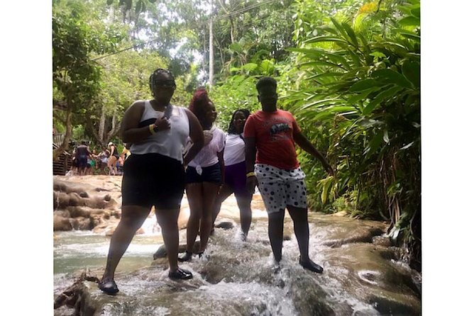 Bob Marley's Nine Mile & Dunns River Falls Tour: Transportation & Ticket - Is $205 per person a good value?