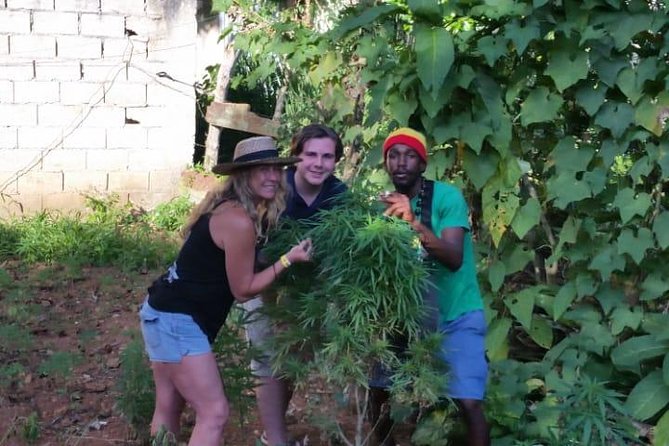 Bob Marley's Nine Mile & Dunns River Falls Tour: Transportation & Ticket - Who will enjoy this tour most?