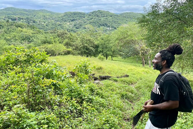 Bush Hiking to explore Wild Plants & Fresh Fruits,Montego Bay - Fresh Coconut Water and Coconut Meat