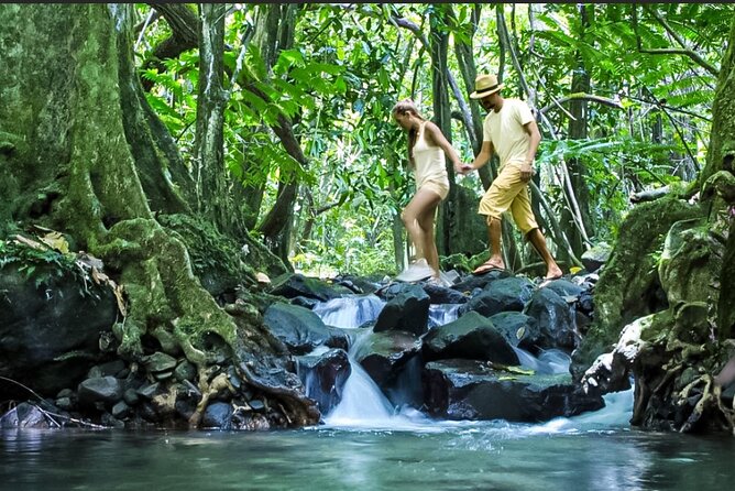 Bush Hiking to explore Wild Plants & Fresh Fruits,Montego Bay - Arriving at the Natural Spring Waterfall