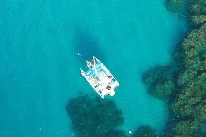 Catamaran, snorkeling & Dunn's River Falls - Key points at a glance