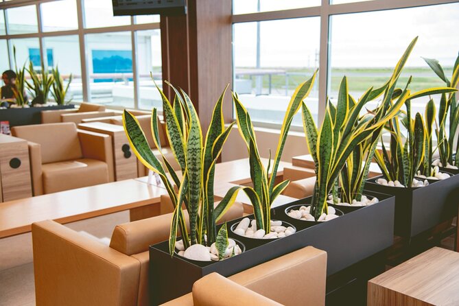 Club Mobay Sangster Airport VIP Lounge with Priority Entry - Food, drinks, Wi-Fi, and the value of waiting comfortably