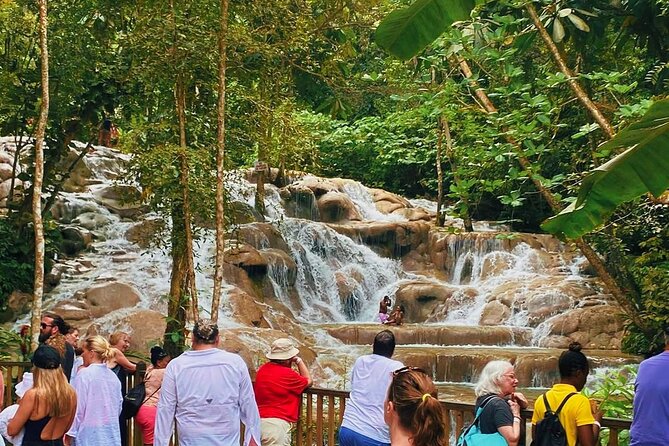 Combo Tour Dunn's River Falls and BlueTour from falmouth - Key points to know before booking