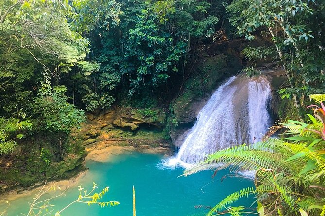 Combo Tour Dunn's River Falls and BlueTour from falmouth - Jerk lunch is part of the rhythm, not the price