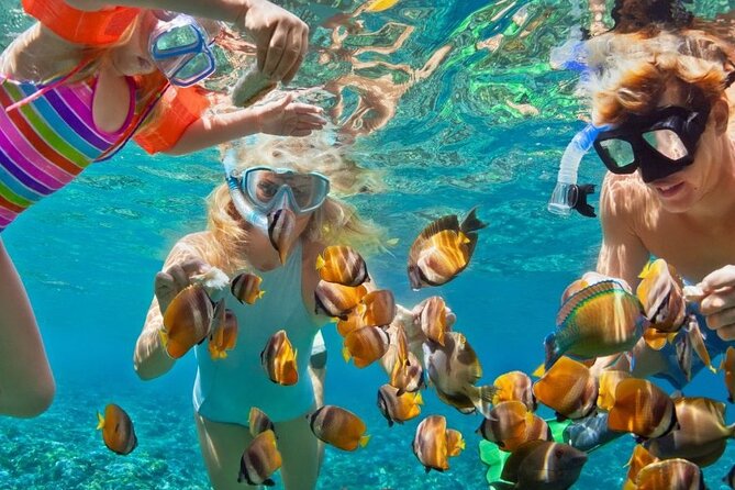 Customize Snorkeling with Option shopping Lunch & Stop local food - A Short Montego Bay Trip With One Clear Goal