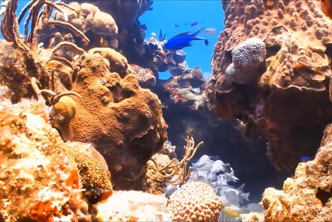 Customize Snorkeling with Option shopping Lunch & Stop local food - The Boat Ride Toward the Reef