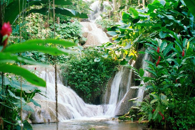 Day Trip to Bob Marley's Nine Mile and Dunn's River Falls from Falmouth - What to pack for a smoother day
