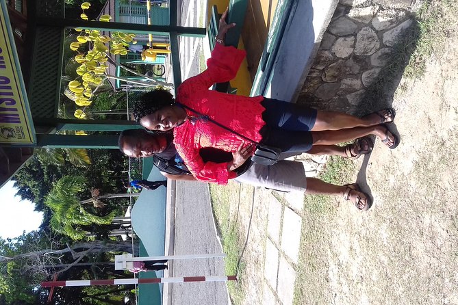 Day Trip to Dunn's River Falls from Montego Bay - Climbing the falls with a guide