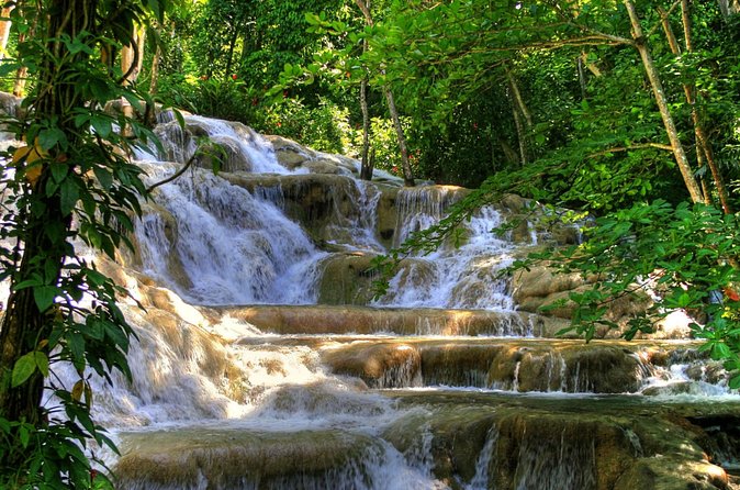 Day Trip to Dunn's River Falls from Montego Bay - The guides can shape the whole day