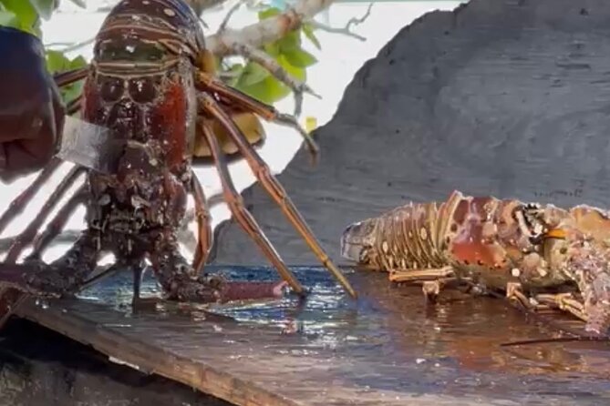 Day Trip to Negril from Montego Bay/Boat Ride to Booby Cay Island/Lobster Lunch - Why this Negril day trip works