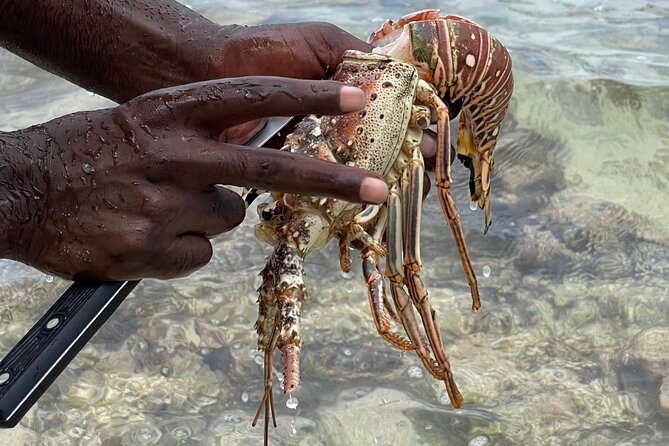 Day Trip to Negril from Montego Bay/Boat Ride to Booby Cay Island/Lobster Lunch - Booby Cay Island and the boat ride
