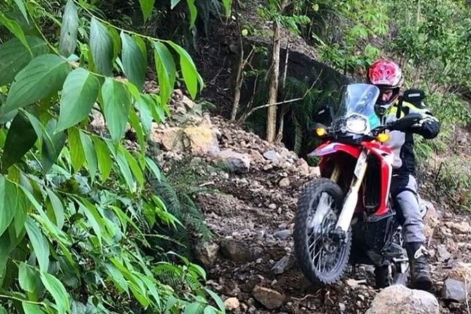 Dirt Bike Tours - Who will enjoy this ride most?