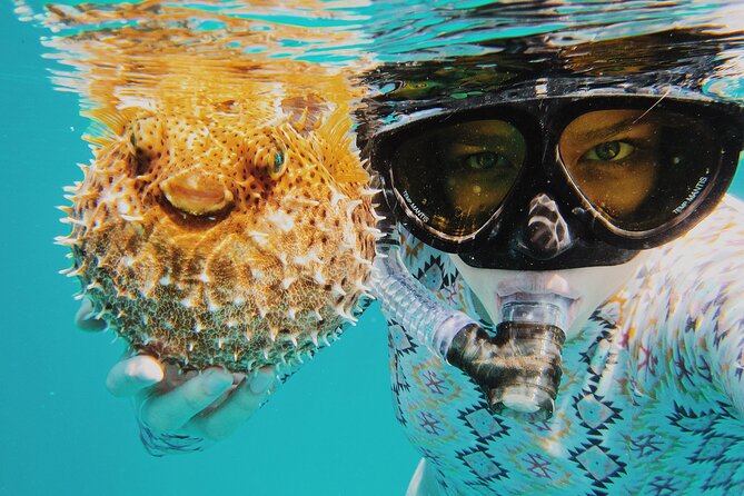 Discover Scuba Diving in Montego Bay-ONE Tank (First time Diving) - Your meeting point at Sunset Beach