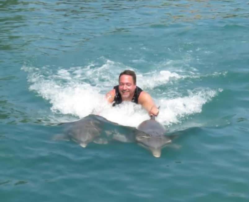 Dolphin Swim Adventure - Key points to know before you book