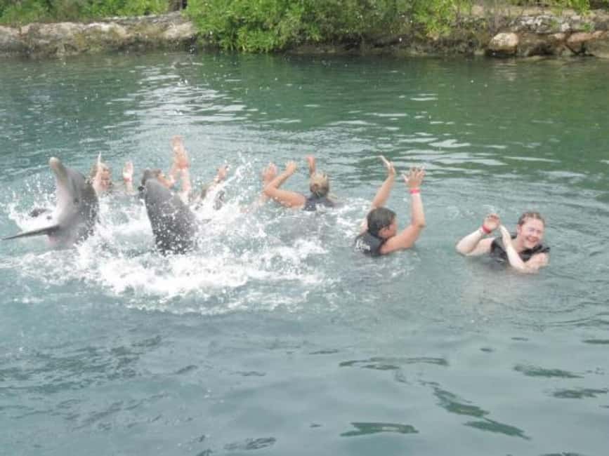 Dolphin Swim Adventure - Arriving at Dolphin Cove from Cornwall County