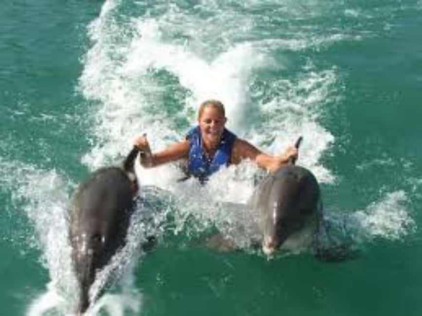 Dolphin Swim Adventure - The handshakes, hugs, and belly ride