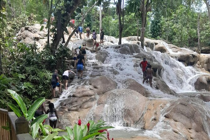 Dunn River Falls and Bamboo River Rafting in Ocho Rios Jamaica. - What the Transport Adds to the Price