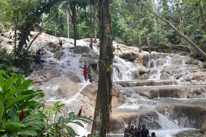 Dunn River Falls and Bamboo River Rafting in Ocho Rios Jamaica. - Who Will Enjoy This Tour Most