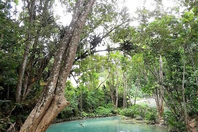 Dunn's Falls and Blue Hole Daytrip with Lunch from Montego Bay & Trelawny - Five things to know before you book
