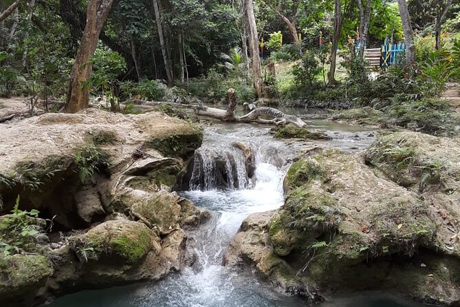 Dunn's Falls and Blue Hole Daytrip with Lunch from Montego Bay & Trelawny - The guides can shape the whole outing