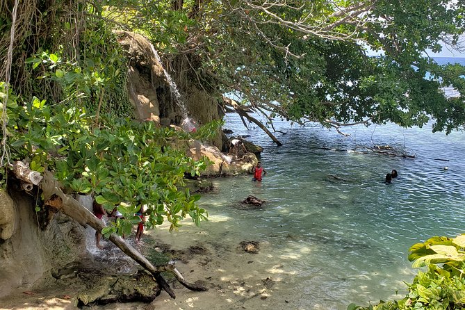 Dunn's Falls and Blue Hole Daytrip with Lunch from Montego Bay & Trelawny - Is Dunn’s River and Blue Hole worth $135?