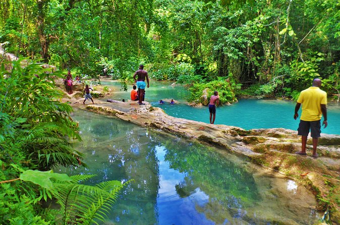 Dunn's River and Blue Hole with lunch combo from Montego Bay - Who will enjoy this day most