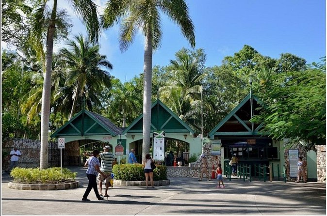 Dunn's River Fall's - Is $80 a fair price?