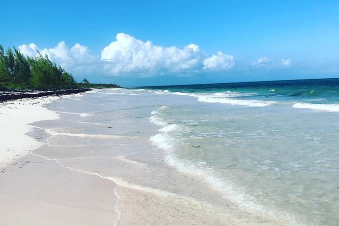Dunn's River Falls and Beach From Ocho Rios Jamaica - Key points to know before you book