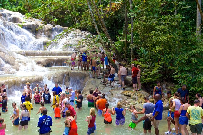 Dunn's River Falls and Blue Hole Adventure from Montego Bay Ja - What private transportation adds from Montego Bay