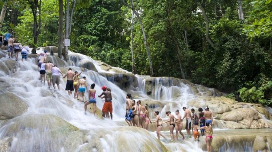 Dunn's River Falls and Bob Marley Mausoleum Tour - Who should book this tour?
