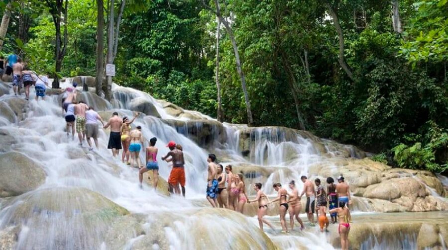 Dunn's River Falls and Bob Marley Mausoleum Tour - Climbing Dunn’s River Falls, one watery step at a time