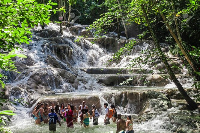 Dunn's River Falls and Horse Back Riding Excursion - The essential details at a glance