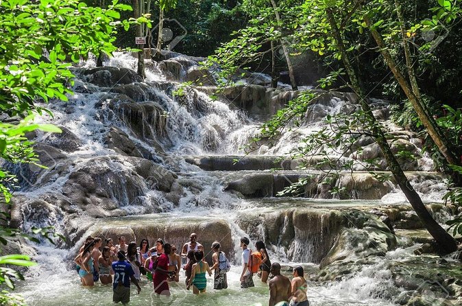 Dunn's River Falls and Horse Back Riding Excursion - Small group advantages, and the waiting risk